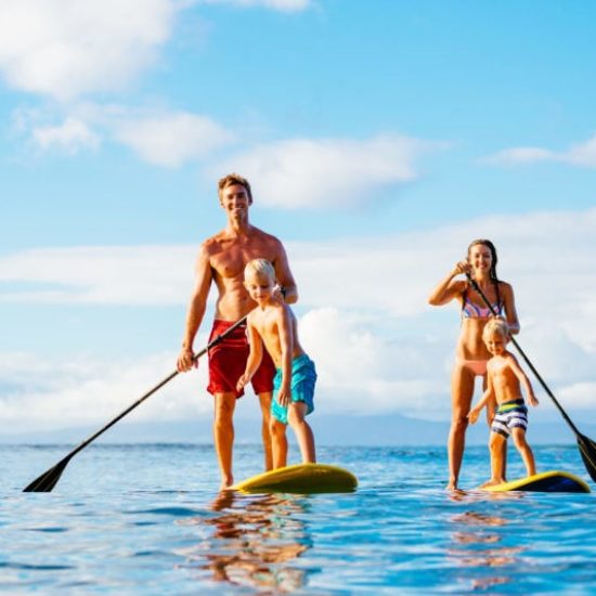 313769651 Beach Sports Exhibitors Category